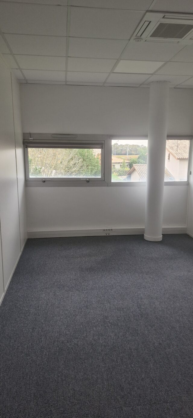 Bureaux 210 accès rocade avec terrasse Canejan